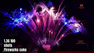 Liuyang 100 Shot Professional Display Fireworks Cake 1.3G UN0335 pyrotechnics