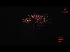 25 Shots New Year Outdoor Classic Consumer Cake Fireworks