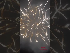 نمایشگاه حرفه ای آتش بازی ها گلوله ها توپخانه شیل مواد آتش بازی لوازم 6 اینچ