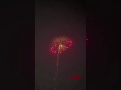 1.3g آتش بازی آتش بازی توپخانه سلامتی شیل کانستر 4 اینچ نمایش موشک آتش بازی