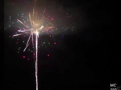 ماندارین ۱٫۳ گرم ۱۵۰ ۳۰۰ ۵۰۰ ۶۰۰ ۱۰۰۰ شات کیک بزرگ آتش بازی