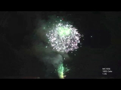 AFSL قابل سفارشی سازی 100 شات آتش بازی کیک حرفه ای برای جشن جشنواره