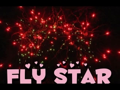 آتش بازی کیک مصرف کننده چینی سفارشی 25 شات 500G آتش بازی