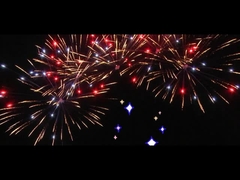 آتش بازی های چینی 25 شات فان کیک برای جشن آتش بازی های خارجی سفارشی