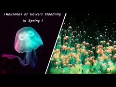 آتش بازی اسباب بازی سال نو آبنبات های مصرف کننده آتش بازی های جدید آتش بازی های آسمان پرتاب های آتش بازی