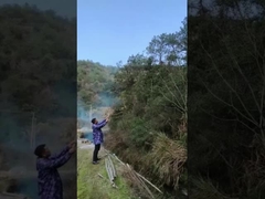 جشن افشاي جنس پاپر کانفيتي کانن هولي پودر کانن براي عروسي