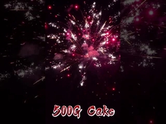 فروش گرم ليو يانگ تخصيص شده آتش بازی کارخانه عمده فروشي 20 شات کيک آتش بازي 500 گرم