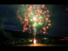 آتش بازی ماندارین 1.3g Un0335 آتش بازی حرفه ای نمایش کیک آتش بازی در فضای باز