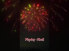 فستیوال ها 2 