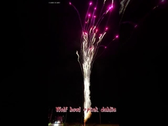 آتش بازی های گرم چینی گرگ زوزه و گلابی دالیا کیک عمده فروشی در فضای باز