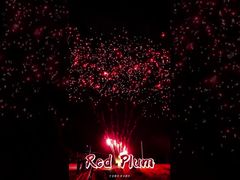 مواد آتش‌بازی لیویانگ 56 شات سلامی کیک‌های فضای باز باتری‌های آتش‌بازی آلو قرمز آتش‌بازی