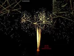 100 شلیک فستیوال کیک آتش بازی نمایش رویدادهای فضای باز حرفه ای آتش بازی 1.3G