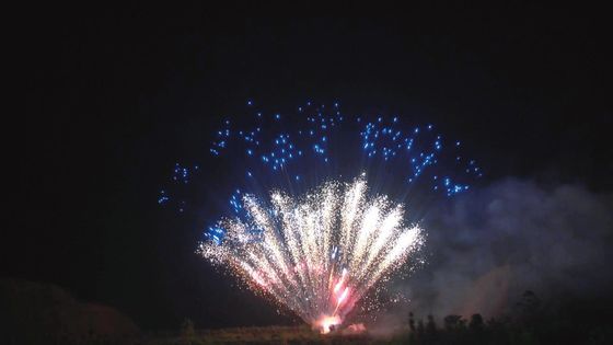 کیک حرفه ای ماندارین پیروتکنیک لیو یانگ آتش بازی 100 شات