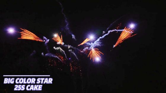 25 شات Consumer Cake Fireworks Fan Shape Pyrotechnics 1.4g Un0336