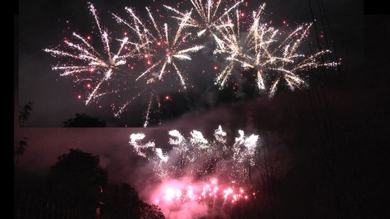 آتش بازی لیو یانگ 1.3g Un0335 آتش بازی 56 شات آتش بازی حرفه ای 1.3g برای جشن جشنواره