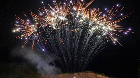 آتش بازی حرفه ای تک ردیفی ماندارین 1.3 گرم Pyrotechnics 13 Shots