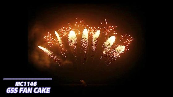 Fireworks Mandarin Pyrotechnics 65 Shots Fan Shaped Fireworks