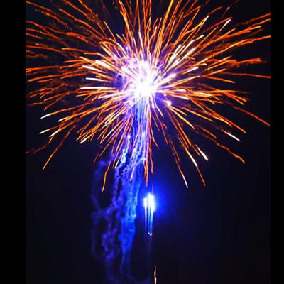 فابریکهای چینی آتش بازی در فضای باز کیک آتش بازی و آتش بازی برای جشن سال جدید آتش بازی 2024