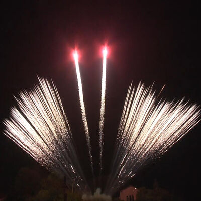 Chinese Professional Fireworks Custom 1.3G 1.2'' Inch 12 Shots Single Row Fan Cake Firework Wholesale Pyrotechnics Fireworks