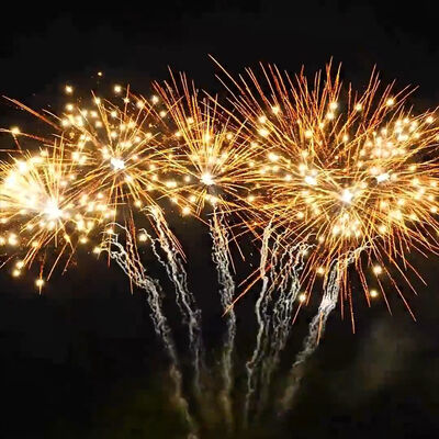 Liuyang Fireworks Chinese New Year 1.3G Professional Fireworks 36 Shots Cake Fireworks Mix Effects Christmas Pyrotechnics 2026