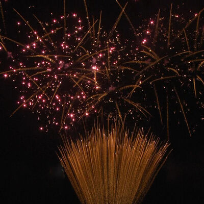 1.2 اینچ 100 شات کیک آتش بازی 1.3G حرفه ای UN0335 گواهینامه آتش بازی برای جشن های بیرونی